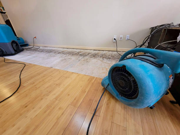Professional Emergency Water Damage technician working in Avalon, WI